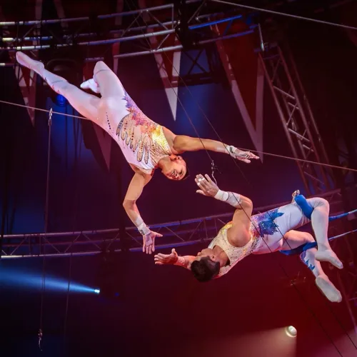 Photo 1 de Cirque Nicolas Zavatta Douchet dans Imagine - Vertou