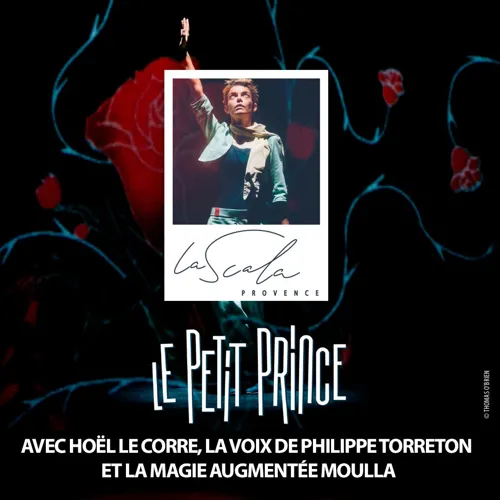 Affiche de Le Petit Prince