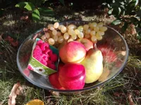 Atelier Sophrologie-Dégustation - 