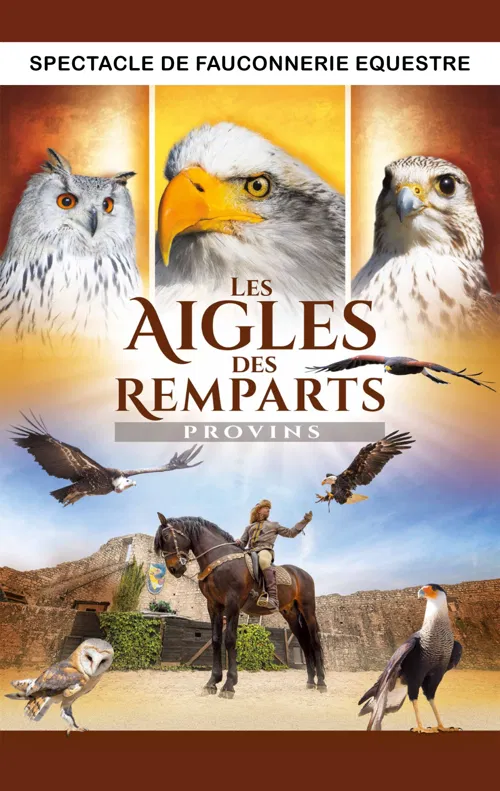Affiche de Les Aigles des Remparts