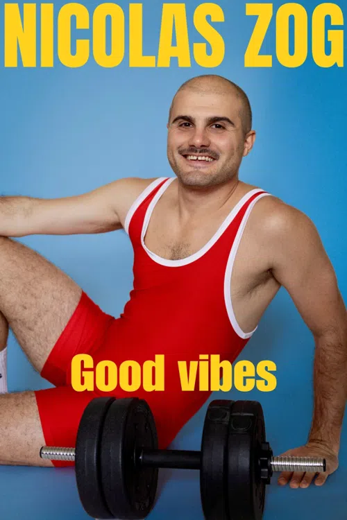 Affiche de Nicolas Zog dans Good Vibes