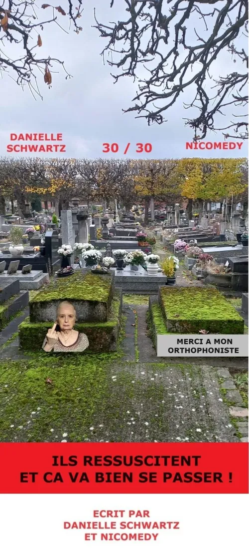 Affiche de Ils ressuscitent mais ça va bien se passer