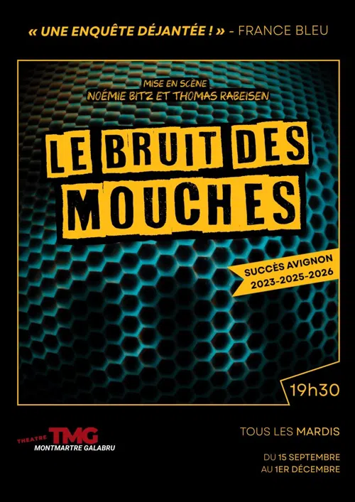 Affiche de Le Bruit des Mouches