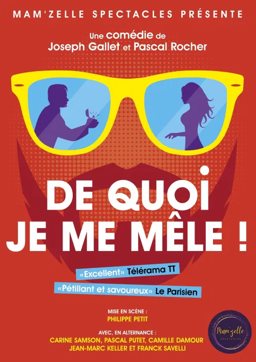 Affiche de De quoi je me mêle