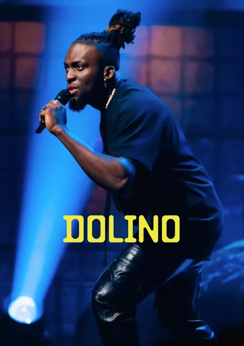 Affiche de Dolino