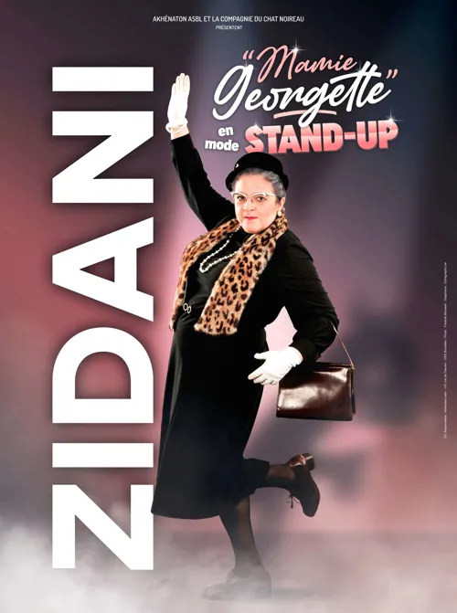 Affiche de Zidani dans Mamie Georgette en mode stand up