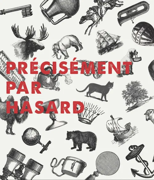 Affiche de Précisément Par Hasard