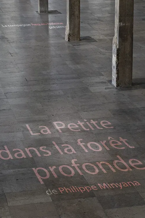 Affiche de La petite dans la forêt profonde