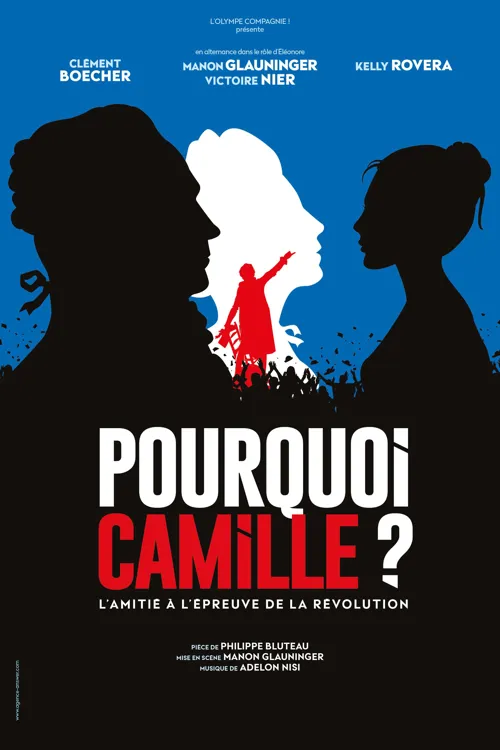 Affiche de Pourquoi Camille ?