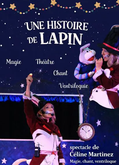 Affiche de Une histoire de lapin