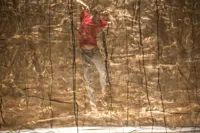 Aujourd'hui, Sauvage de Fabrice Lambert - 