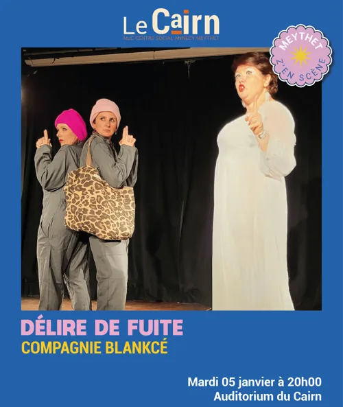 Affiche de Délire de fuite