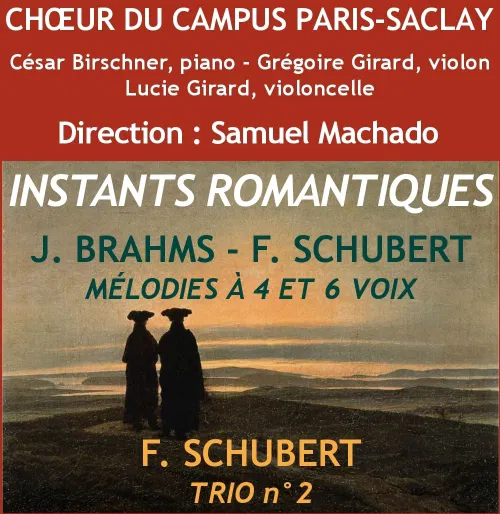 Affiche de Instants romantiques