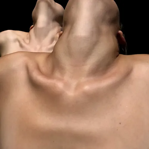 Affiche de Vaca | Festival Immersion Danse