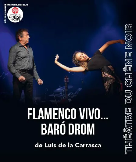 Affiche de Flamenco vivo... Baró Drom