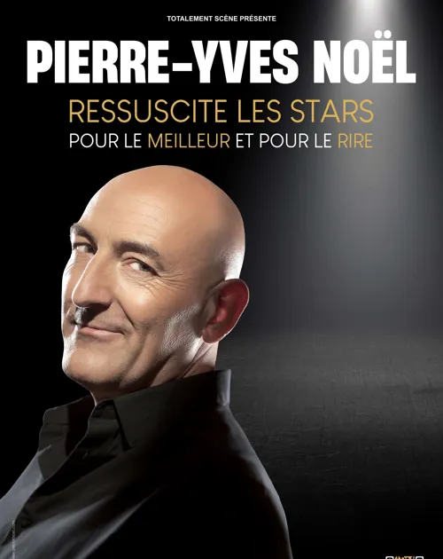 Affiche de Pierre-Yves Noël ressuscite les stars