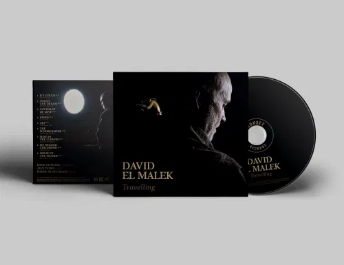 Affiche de David El Malek : Travelling