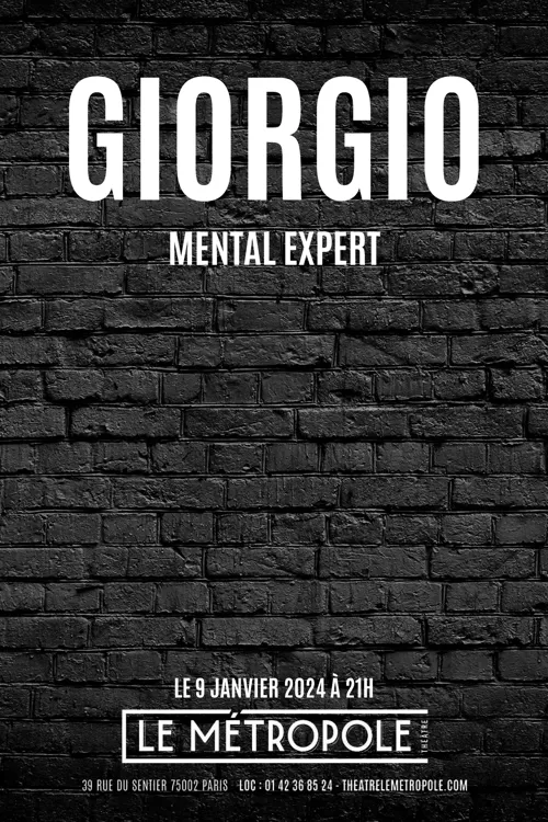 Affiche de Mental expert