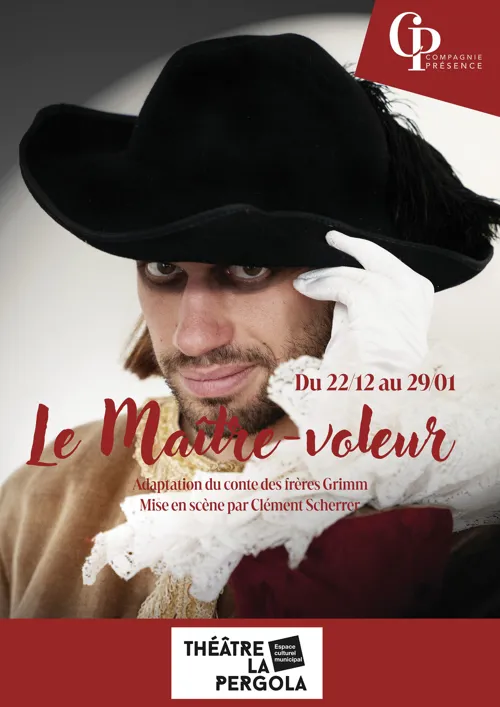 Affiche de Le maître-voleur