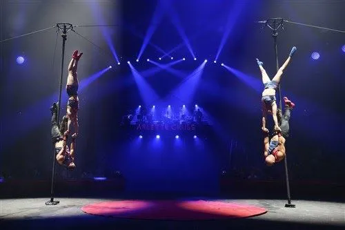 Photo 2 de Cirque Arlette Gruss dans Bêtes de Cirque | - Boulogne sur Mer