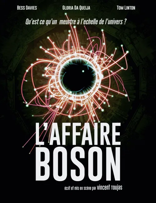 Affiche de L'Affaire Boson