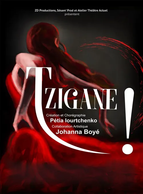 Affiche de Tzigane !