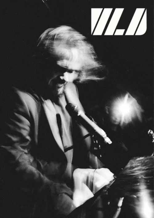 Affiche de VLD