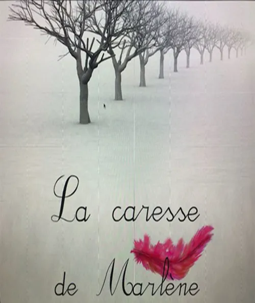 Affiche de La Caresse de Marlène