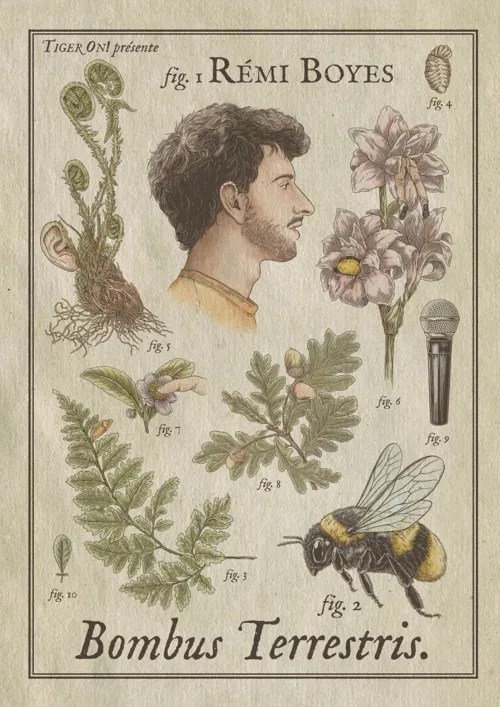 Affiche de Rémi Boyes dans Bombus Terrestris