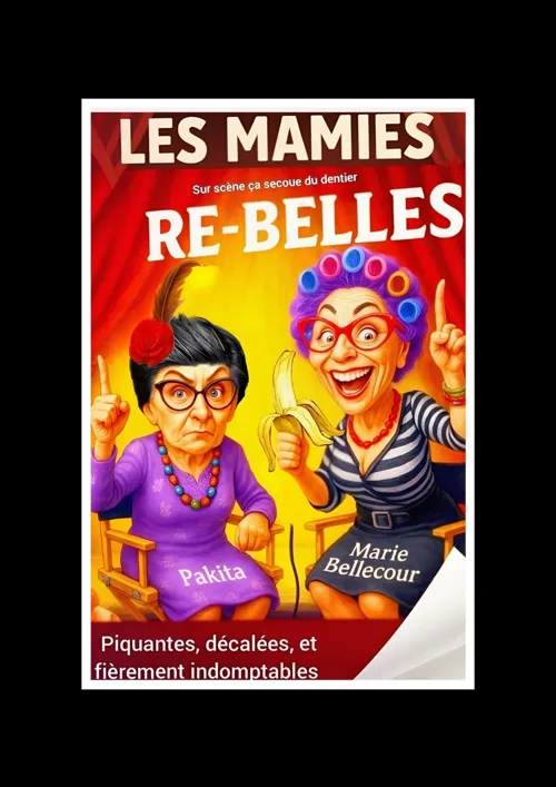 Affiche de Les mamies re-belles