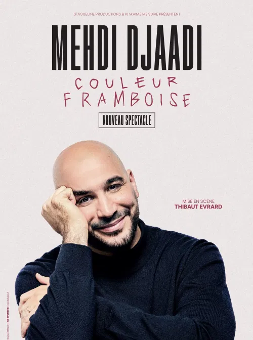 Affiche de Mehdi Djaadi dans Couleur framboise