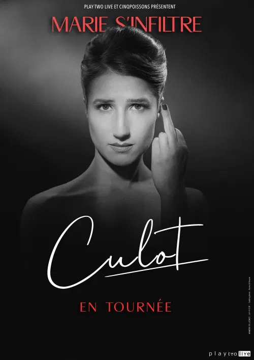 Affiche de Marie s'infiltre dans Culot