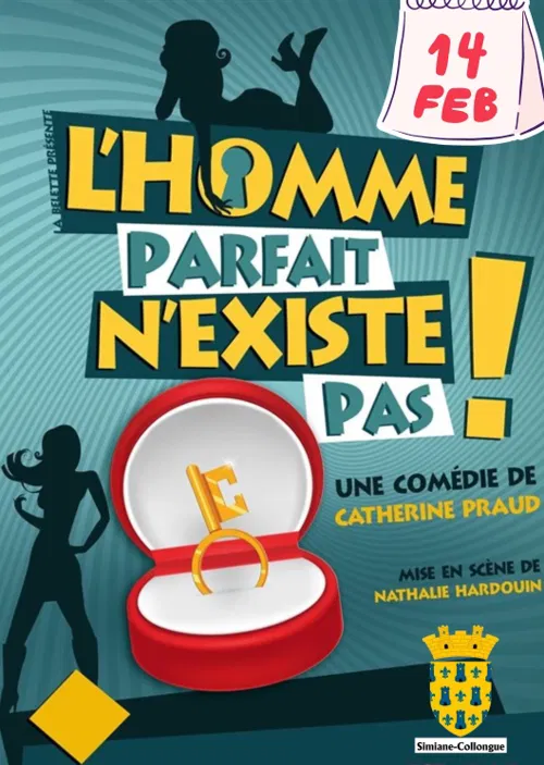Affiche de L'homme parfait n'existe pas !