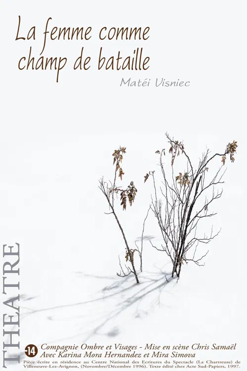 Affiche de La femme comme champ de bataille