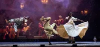 Folia - 