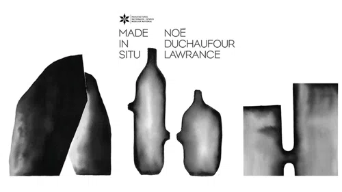 Affiche de Visite guidée de l'exposition Made in Situ de Noé Duchaufour-Lawrance à la Galerie des Gobelins