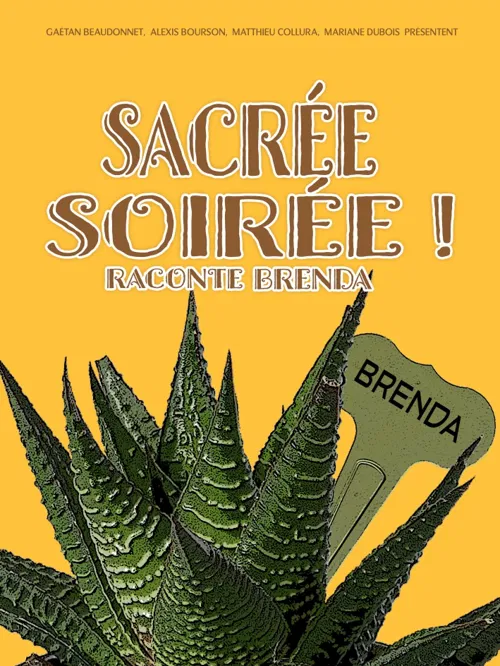 Affiche de Sacrée soirée