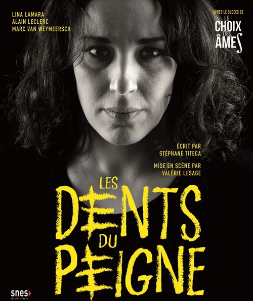 Affiche de Les dents du peigne