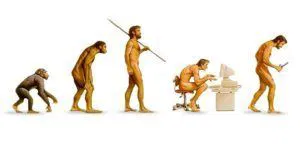 Affiche de Homo stupidus