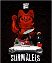 SurMâle(S - 