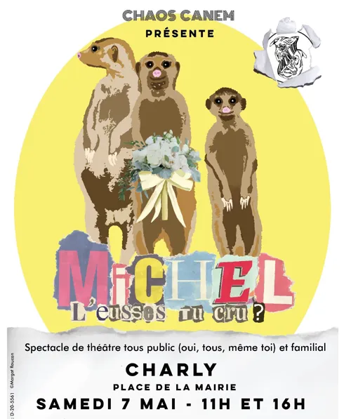 Affiche de Michel l'eusses-tu cru ?