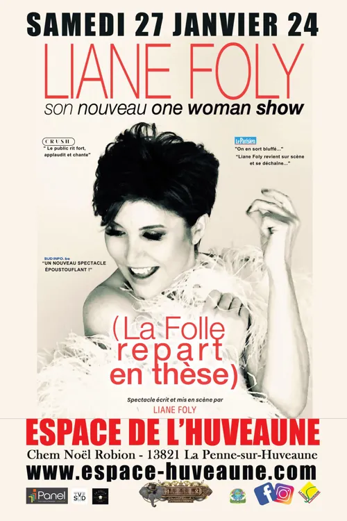 Affiche de Liane Foly dans La folle repart en thèse