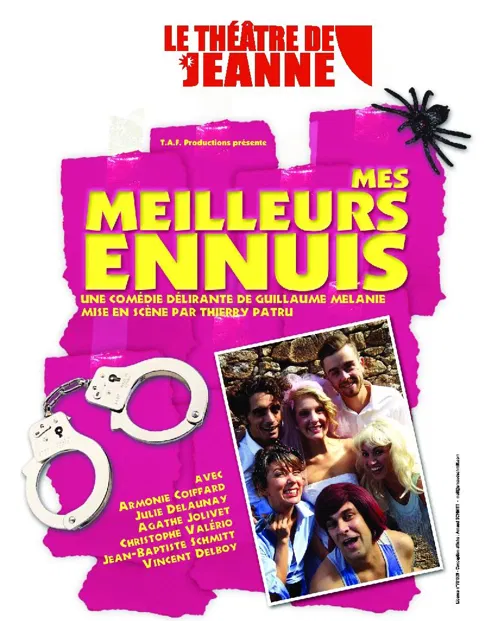 Affiche de Mes meilleurs ennuis !