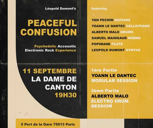 Affiche de Peaceful Confusion