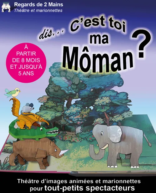 Affiche de Dis, c'est toi ma môman ?