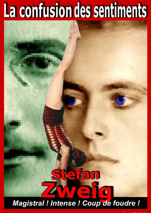 Affiche de La confusion des sentiments