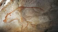 La grotte Chauvet et le culte de l'ours dans la préhistoire et l'histoire - 