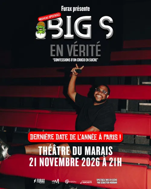 Affiche de Big S dans En vérité, confessions d'un croco en sucre