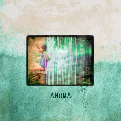 Affiche de Aniima