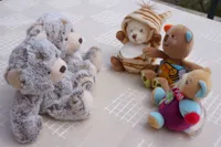 Constellations familiales et systémiques - 